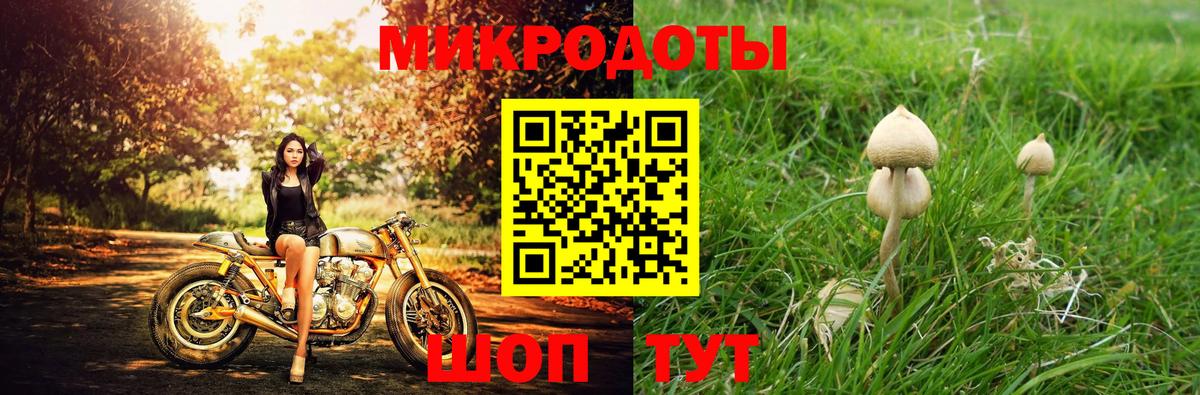 как найти закладки  Вход с VPN  Ливны  Галлюциногенные грибы Psilocybine cubensis 