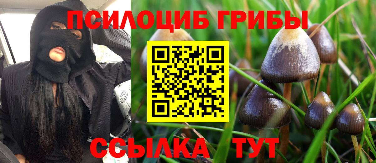 Галлюциногенные грибы Psilocybe Ливны